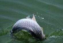 10种水情分析，钓鱼不能讲随便