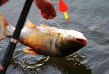 天气太闷热，如何操作才能不空军