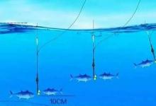 如何精准又快捷地找到目标鱼所在泳层？