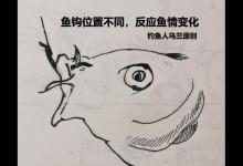 从刺中鱼部位到空杆率高低，分析鱼情和钓法纠正