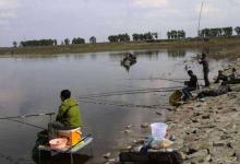 遇到倒春寒请用这种钓鱼法