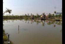 春季这几种天气出钓鱼获肯定会很好