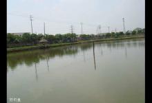 夏钓遇到这几种天气，可以选择钓浅水