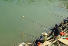 初秋遇这5种天气，我们可以这样去钓鱼