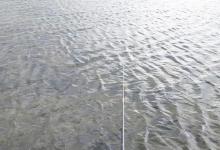 关于温度、气压、风向、天气对钓鱼的影响，总结经验