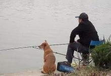 就这几种天气，还不出门钓鱼，难道让鱼竿在竿包发霉么