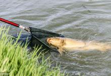 最全的谷雨季节钓鱼技巧