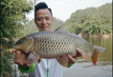 季节在变，鱼情也在变，天气对鱼的影响在那呢？