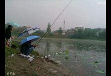 阴雨天气钓鱼需要注意的四个事项