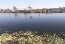 晴天阴天雾天雨天，钓鱼心得分享