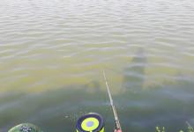 高温天钓鱼，钓友认准这几处，渔获一准少不了