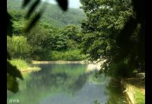 阴天钓鱼应该注意什么？不用顶着太阳也好钓