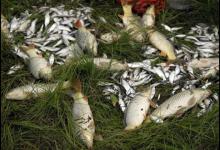 梅雨时节钓鱼，钓法上应该注意的几点技巧