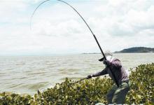 清明大风天气钓鱼，一定要知道的几点