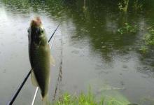 夏季宜钓刮风、下雨天，有哪些应对技巧