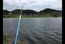 6级西南风也能钓到鱼？