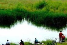 春钓岂是一句春钓浅就能概括的事,请看详细分说