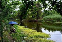 阴天钓鱼该注意哪些方面？