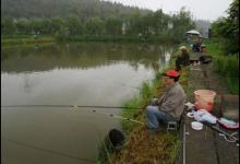 天气阴沉，水中溶氧偏低不开口，那么我们怎么应对呢