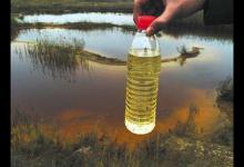 哪些地方不适合钓鱼？看水色就知道