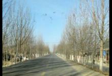 钓鱼先了解这几点，应对突变的降温天气