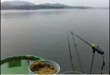 春末夏至时节，一天里什么时间段好钓鱼？