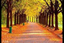 秋天鱼难钓？三个点全面分析秋季垂钓