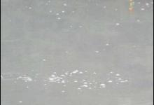 高手是如何通过看鱼星来了解鱼情的？一看便知