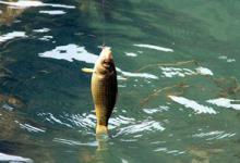 面对天气多变的春天，钓鱼需要注意什么