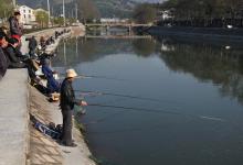 小崔解读：钓着钓着就停口？跟水中“溶氧”的话题