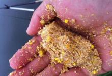 影响钓鱼的几个坏习惯，占了几样？现在改还来得及