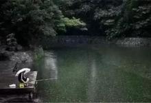 刮风、下雨天气应该这样钓鱼