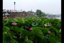 梅雨季节一怎么钓好鱼