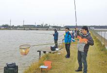 小崔解读：温度、活性、食量对垂钓的影响