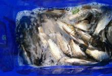 天气变热之后，高手教你如何挑选钓位