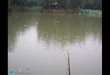 依据天气变化适时出行作钓