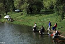 鱼窝里很多鱼只冒泡不吃饵，怎么会钓不到鱼？