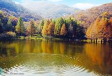 改变鱼类生存习性的水质特点