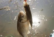 这8个阴天钓鱼技巧学会后不比晴天差