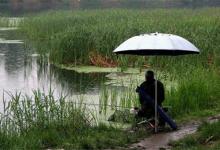 天气好钓不到鱼？这些知识告诉你怎么钓