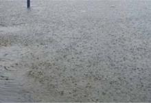 下雨天难钓鱼？三个技巧助你钓大鱼