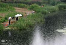 下雨天的钓鱼技巧分析