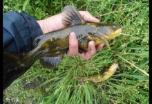 分析天气对鱼情与钓鱼活动的影响