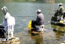 这七个因素是如何影响鱼儿进食的？