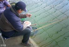 漫谈水温变化对垂钓的影响