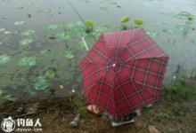 仲秋下雨天钓鱼的选时选饵及钓法