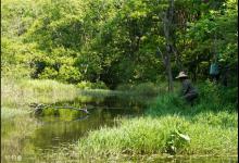 什么天气、时候去野钓更为合适