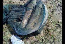 有风的天气该如何垂钓？