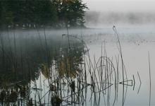 遇到下雨降温怎么办，鱼该怎么钓