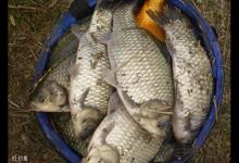 冬天阴天适合钓鱼吗？快看这些冬钓天气小知识